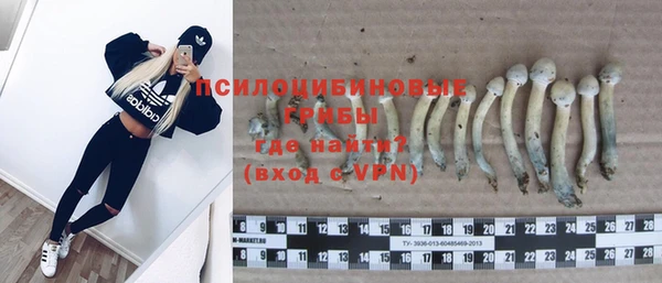 стаф Пересвет
