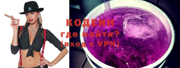 стаф Пересвет