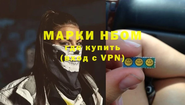 стаф Пересвет