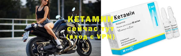 стаф Пересвет
