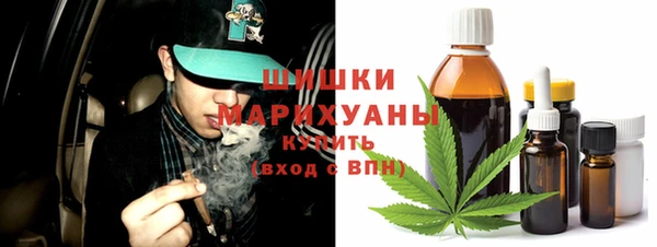 стаф Пересвет