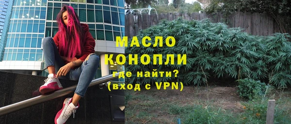 стаф Пересвет