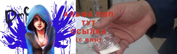 стаф Пересвет