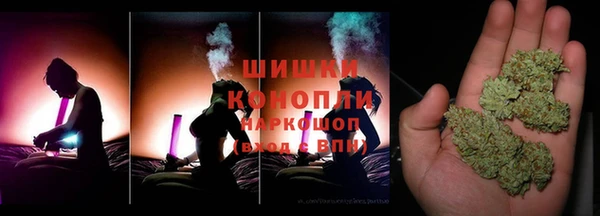 стаф Пересвет
