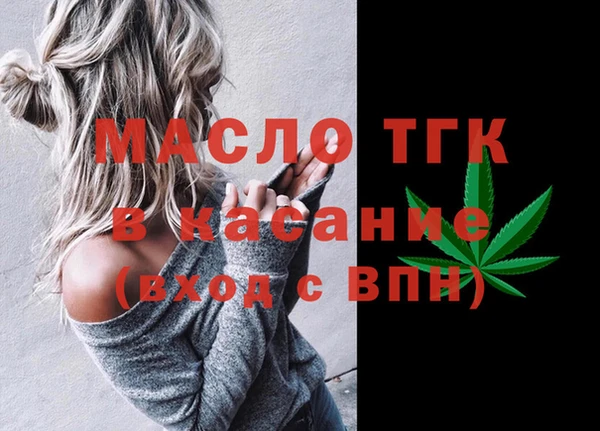 стаф Пересвет